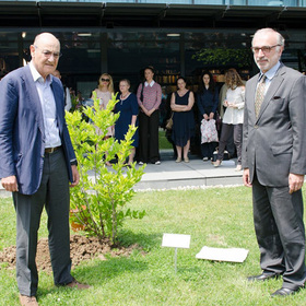 durvo_280x280_crop_478b24840a