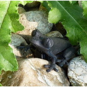 kak-da-si_280x280_crop_478b24840a