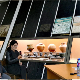 purvoto_280x280_crop_478b24840a