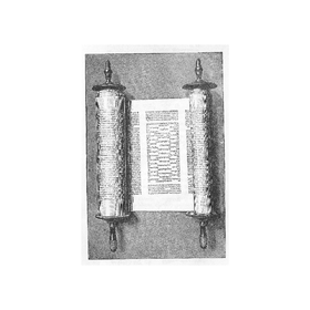 tora_280x280_crop_478b24840a