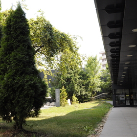 dsc0145_280x280_crop_478b24840a