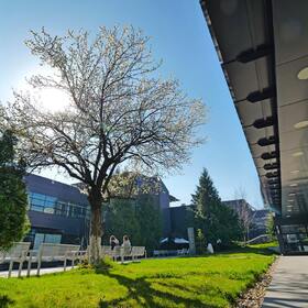 p1111314_280x280_crop_478b24840a