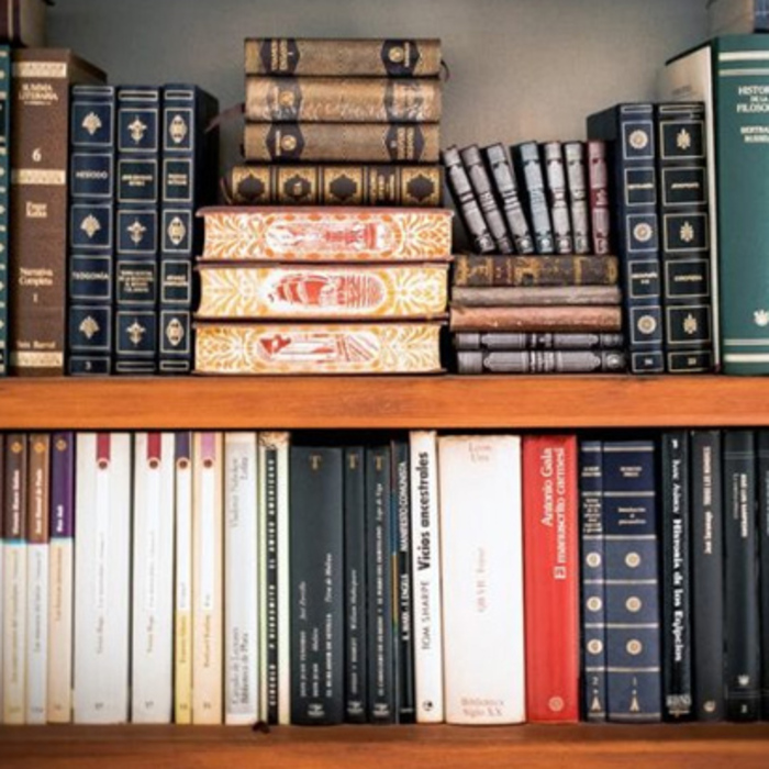 nov-bulgarski_700x700_crop_478b24840a