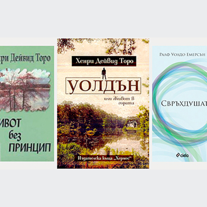 photo-35_700x700_crop_478b24840a