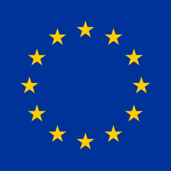 es_700x700_crop_478b24840a