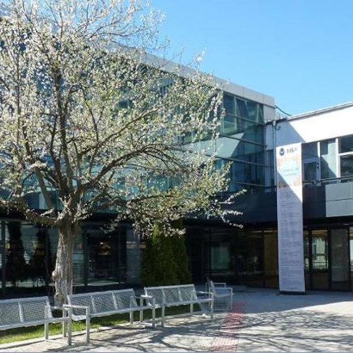 v-sveta_700x700_crop_478b24840a