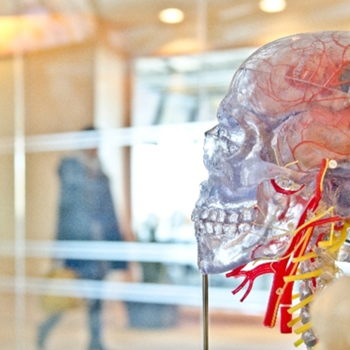 kakvo-znaem_700x700_crop_478b24840a