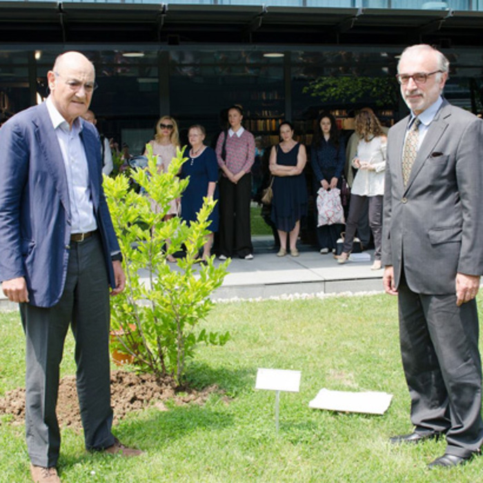 durvo_700x700_crop_478b24840a