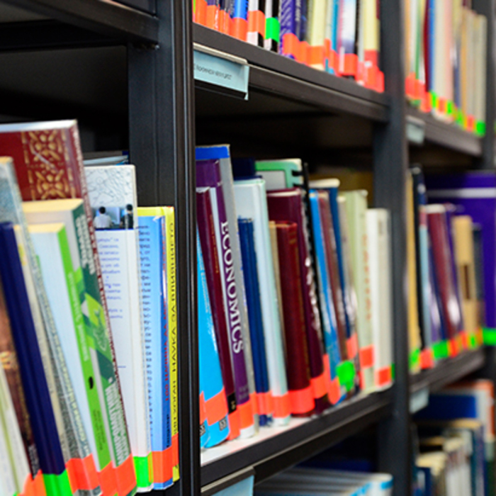 biblioteka-fond_700x700_crop_478b24840a