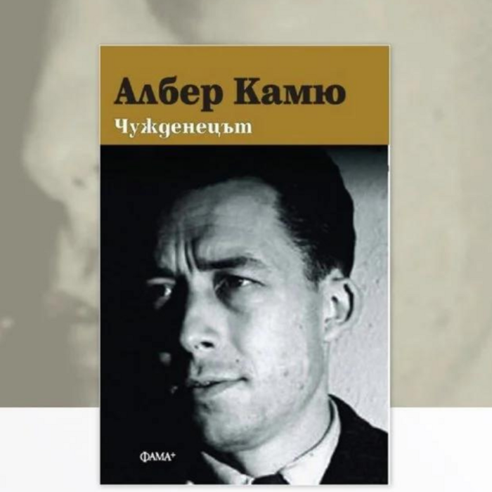 kamu_700x700_crop_478b24840a