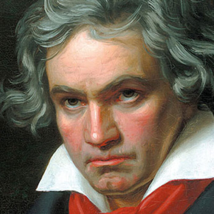 beethoven-wikipedia_700x700_crop_478b24840a