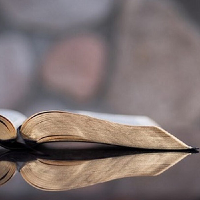 bibleiski-skazaniq-celuvkata-kato-orujie_700x700_crop_478b24840a