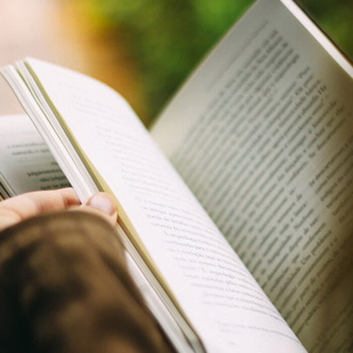 chetene-pixabay_700x700_crop_478b24840a