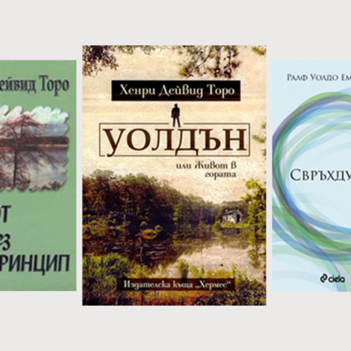 za-info-21-12_700x700_crop_478b24840a