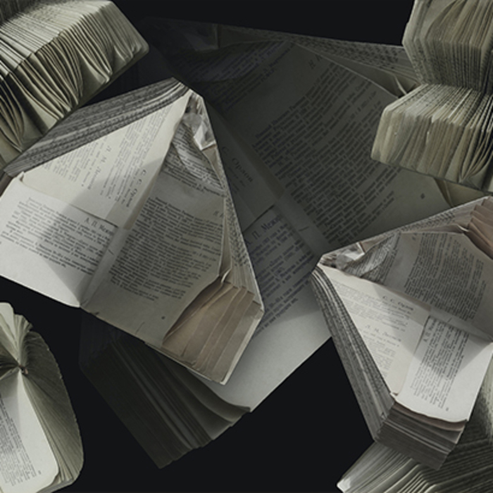 izdaniq-nova-bulgaristika_700x700_crop_478b24840a