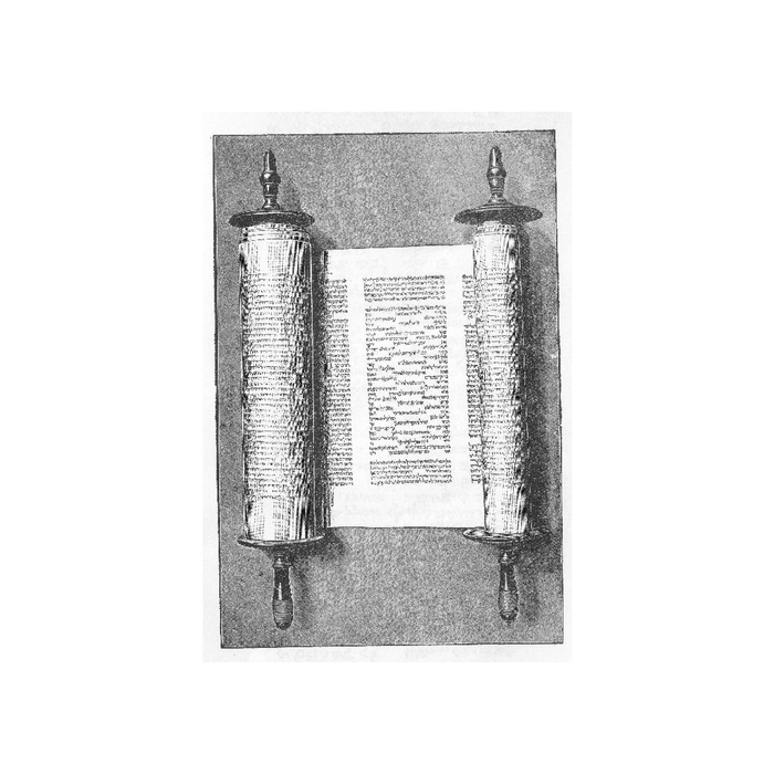 tora_700x700_crop_478b24840a