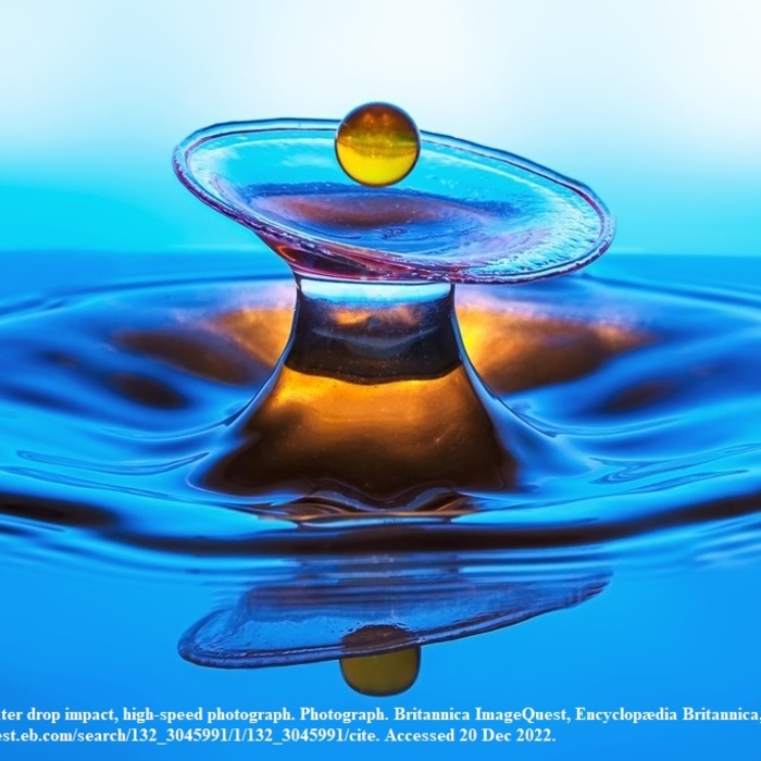 3-zaiavka-za-sabitie19-01_700x700_crop_478b24840a