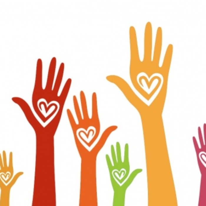 volunteer_700x700_crop_478b24840a