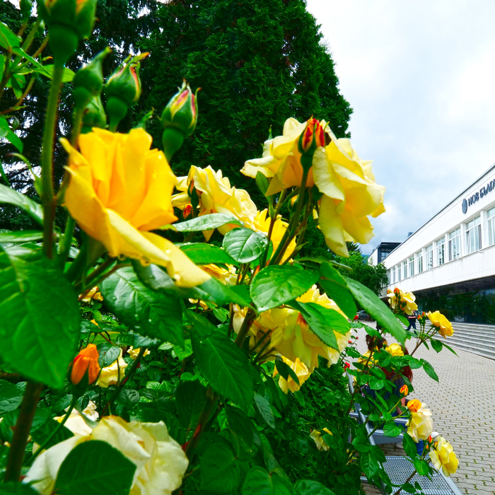 1333559-copy_700x700_crop_478b24840a